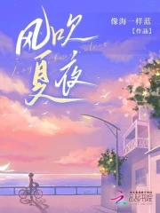 风吹夏夜