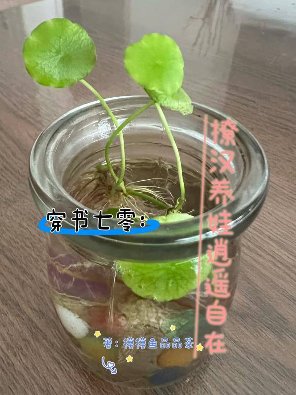 穿书七零：撩汉养娃逍遥自在